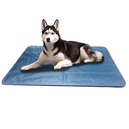 Pet Home Autumn/Winter Thickened Coral Fleece Pet Sleeping Mat Rectangular Pet Mattress