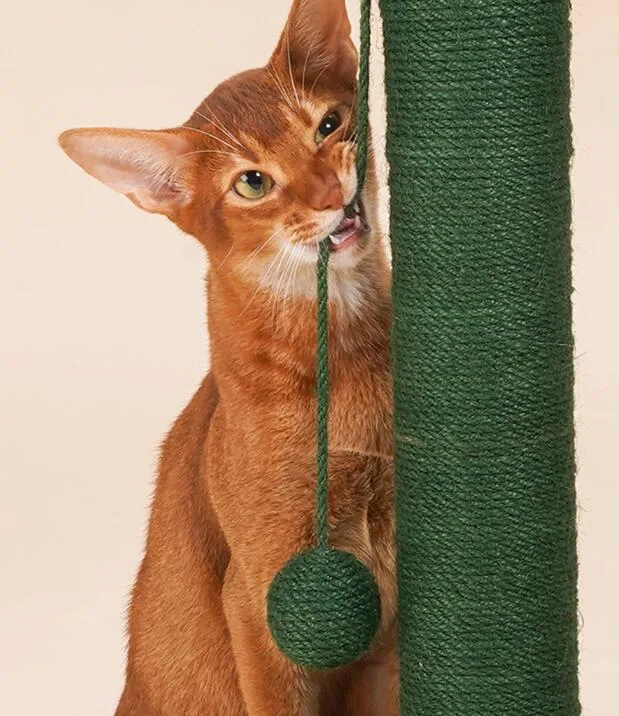 Hot Sale Wholesale Cat Scratching post for Cute Cat to scratch and play as toy