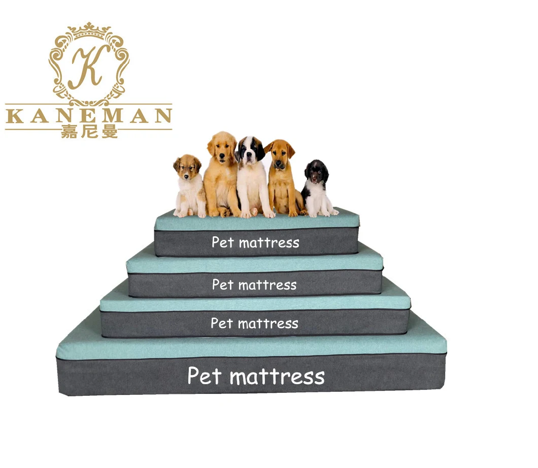 Luxury Memory Foam Dog Mattress Compressed Packing Pet Mattress