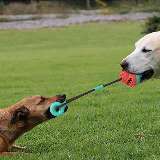 Новый дизайн, игрушка-качалка для собак, мяч-головоломка и жевательная игрушка для домашних животных, резиновый шарик, игрушка, игрушка для собак с бесконечной прокруткой